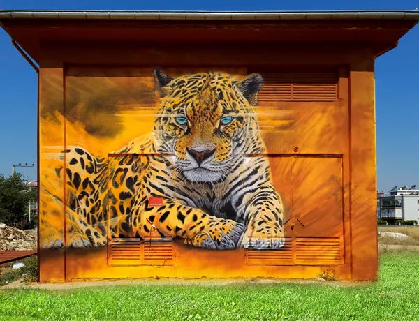 Aydın Çine'de trafo binasına yapılmış gerçekçi jaguar duvar resmi